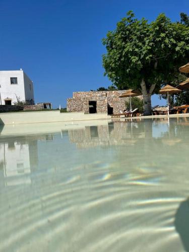 piscina masseria baroni di montesardo struttura ricettiva ristorante spa lido marini ugento leuca gallipoli salento lecce puglia italia