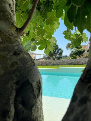 piscina masseria baroni di montesardo struttura ricettiva ristorante spa lido marini ugento leuca gallipoli salento lecce puglia italia